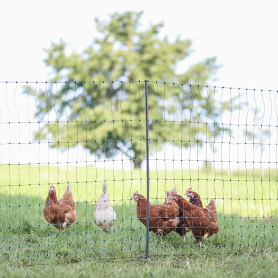 AKO PoultryNet Geflügelnetz Premium nicht elektrifizierbar grün Doppelspitze, 106 cm x 25 m