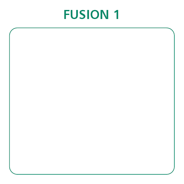 Fusion 1