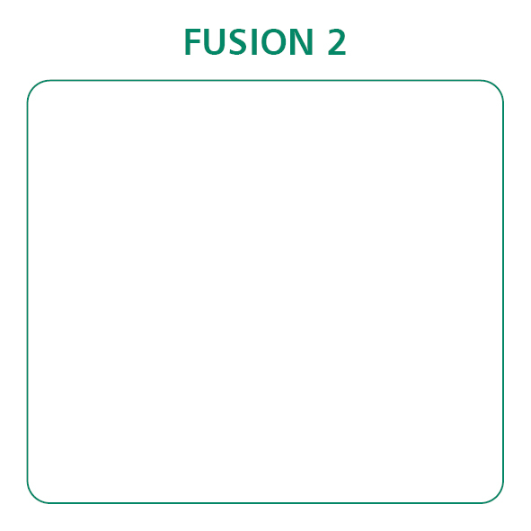 Fusion 2